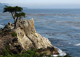 17 Mile DriveScenic Highlights Tour 17 Mile DriveScenic Highlights Tour