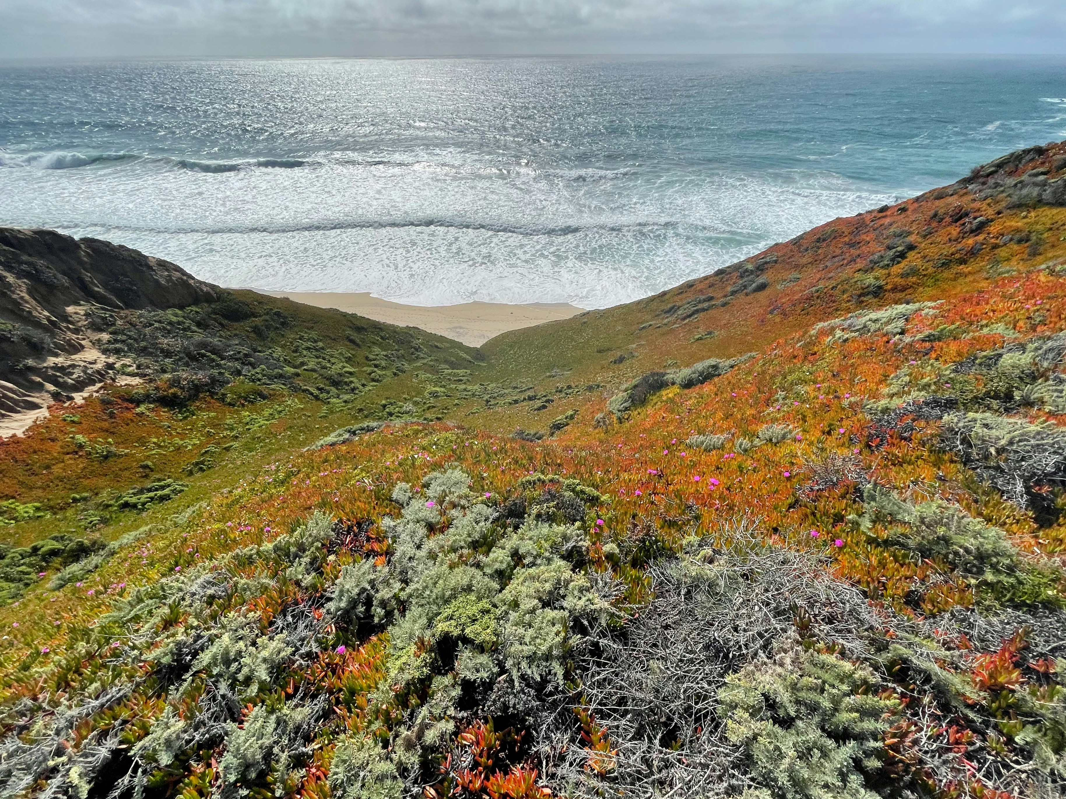 Sweeping view of a remote California beach, with lush green and orange coastal vegetation leading to the vast Pacific Ocean under a bright, clear sky. Photo by Unsplash photographer.