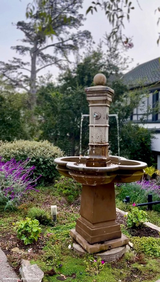 A charming stone fountain surrounded by lush greenery and vibrant purple flowers in a hidden courtyard of Carmel-by-the-Sea, captured during a guided walking tour with Gael Gallagher.