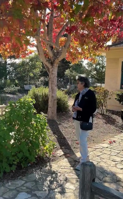 Gael Gallagher standing in a tranquil garden, gazing at a tree with vibrant red and orange autumn leaves. The peaceful setting includes lush greenery, a stone pathway, and a historic building.