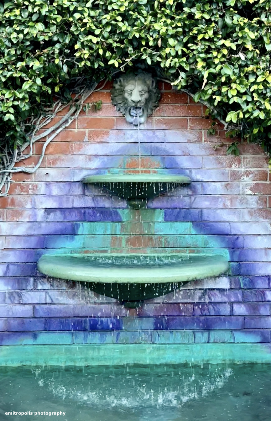 A tiered lion-head fountain framed by ivy and painted in vivid purples and blues in Carmel-by-the-Sea.