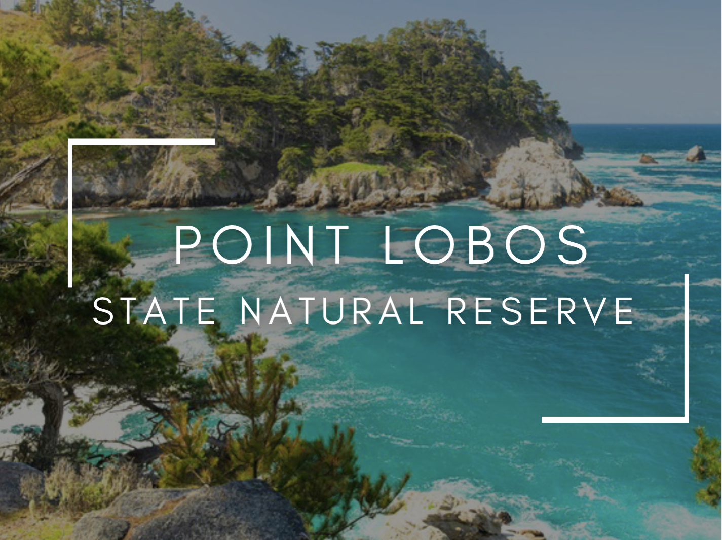 Point Lobos